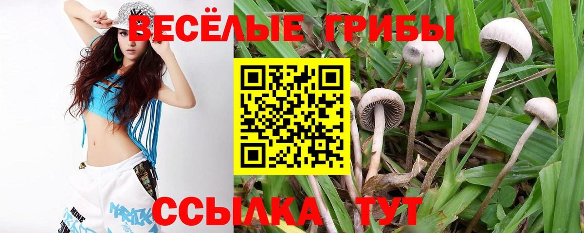 Галлюциногенные грибы ЛСД  Вход с VPN  Псилоцибиновые грибы Psilocybe  Нижнекамск 