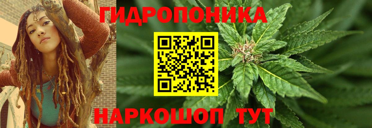 Конопля план Нижнекамск